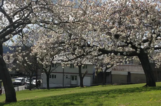 IOTA Care - outside view of care home
